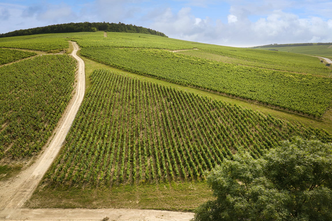 Chablis 1er Cru 'Monts de Milieu'